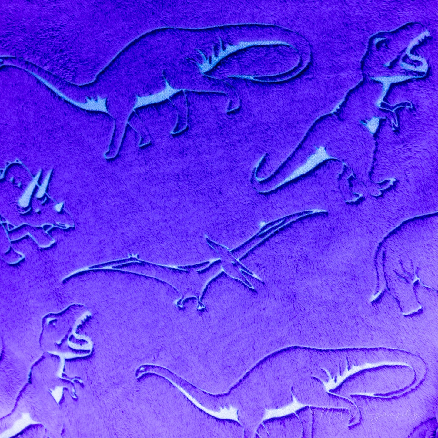 uv reactive dinosaur fabric